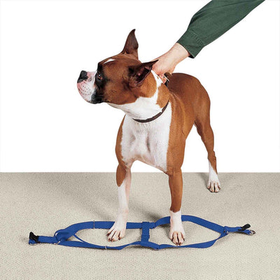 casual canine nylon 2 step harness 15 25in blue