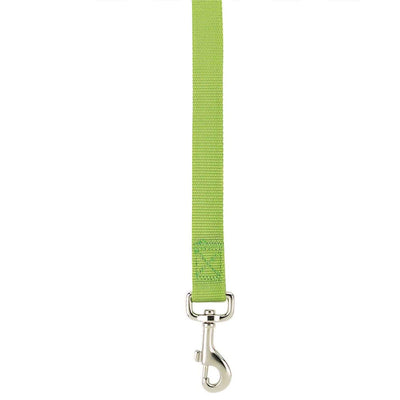 Casual Canine Lead 6FtX1In LtG