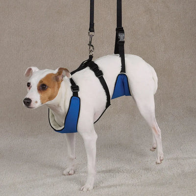 Pet Edge Total Pet Health 4-in-1 Lift & Lead Dog Harness