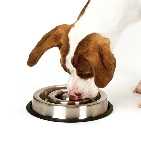 Pet Edge Heavy Duty Stainless Steel Slow Feeder Dog Bowl – Select a Size