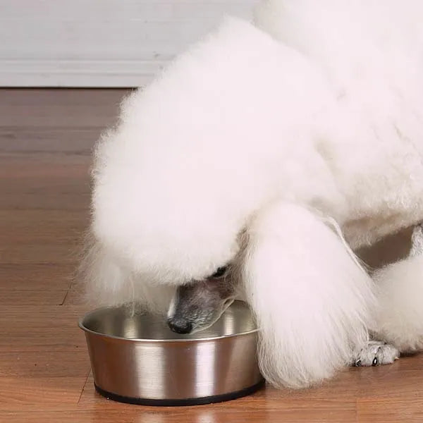 ProSelect Stainless Steel Dog Bowl with Non-Slip Rubber Base - Size Option