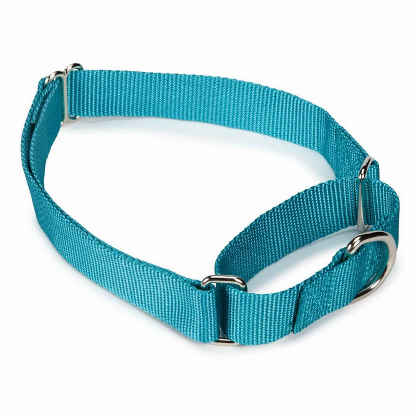 GG Nylon Martingale Collar