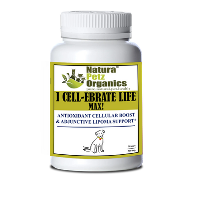 i cellebrate life max antioxidant cellular boost dog 500 mg no flavoring