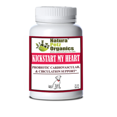 kick start my heart probiotic heart cardiovascular circulation dog