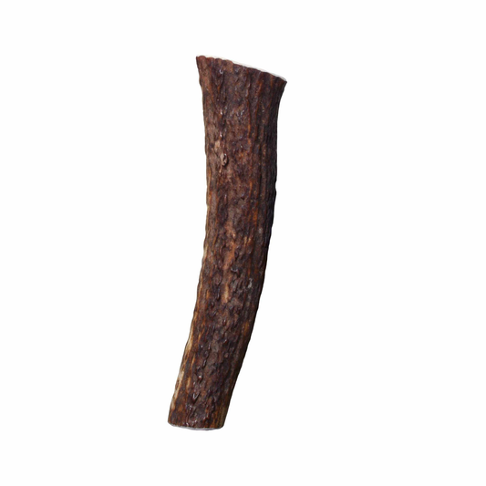 KONG(R) Wild Antler Whole, Large