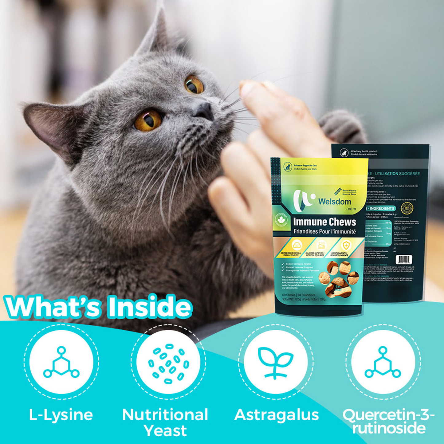 Cat Immune Chews - 60 Chews