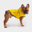 GF Pet Reversible ElastoFit Raincoat – Waterproof Reflective Dog Coat