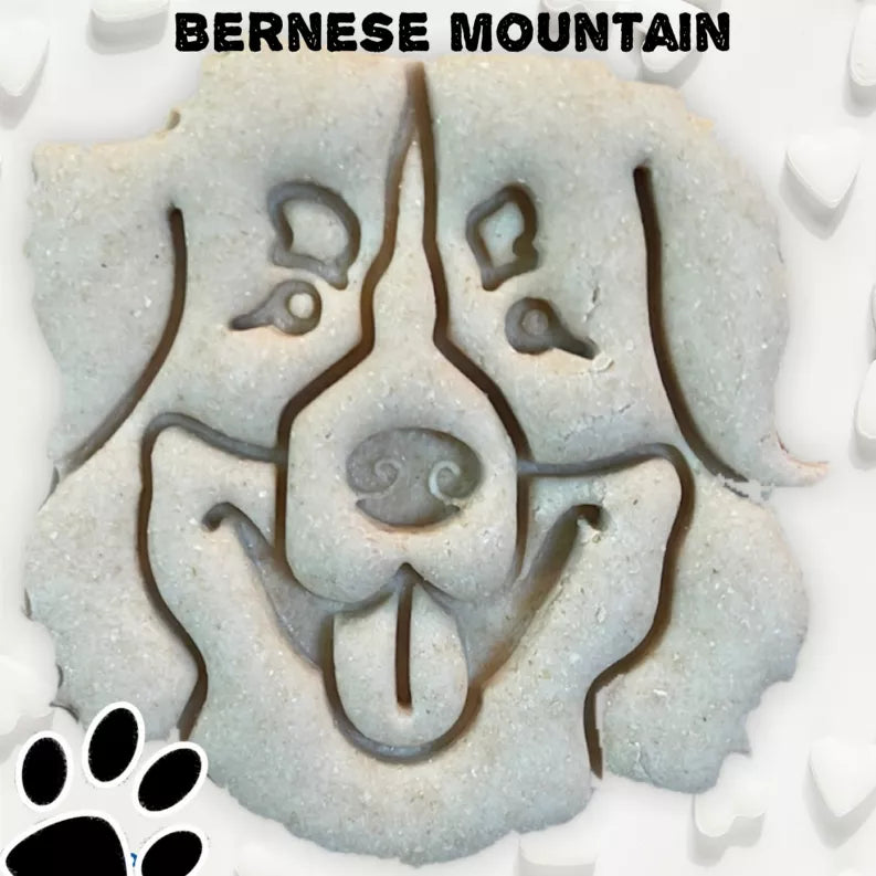 June Bug Dog Breed Dog Cookies, Bernese Mountain