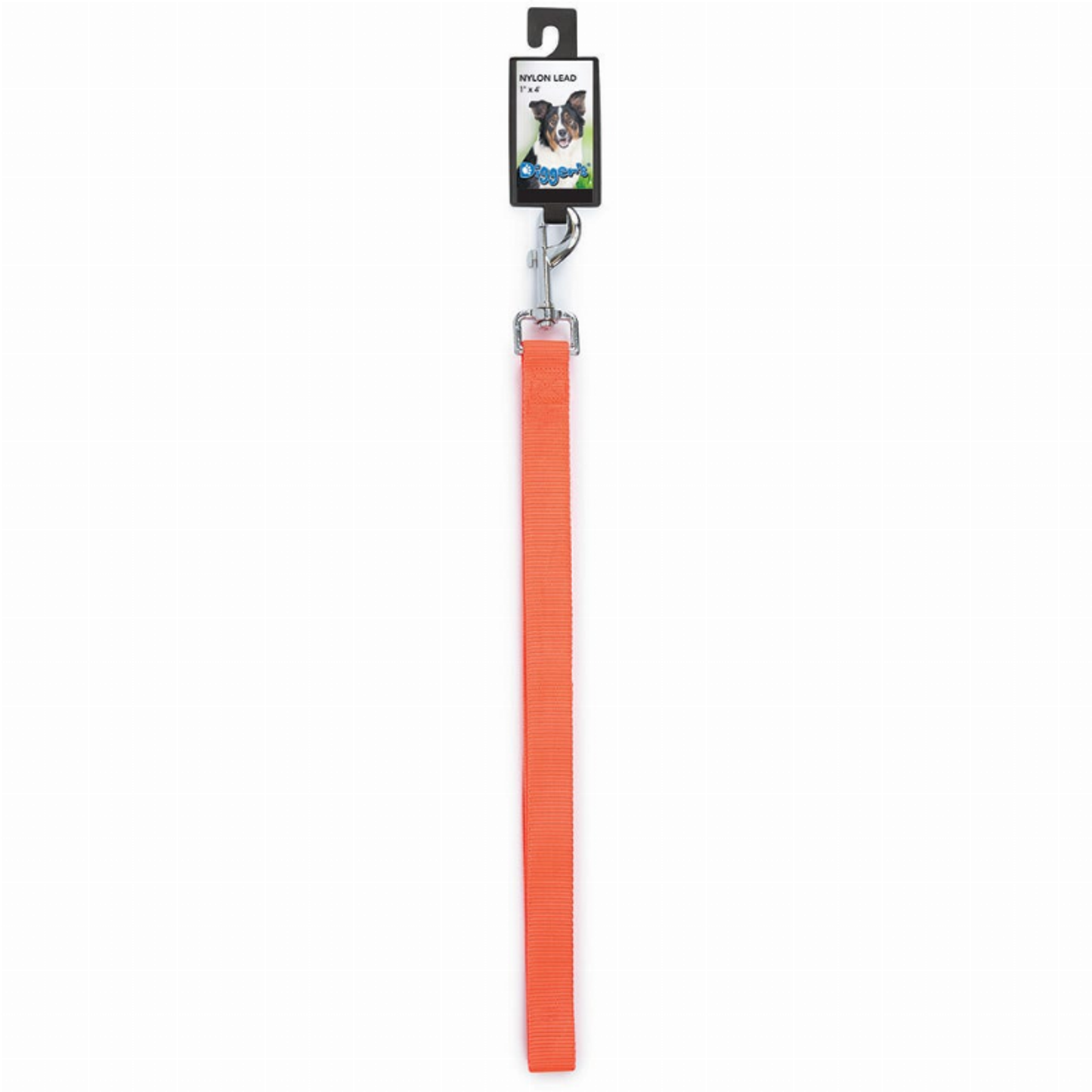 Digger's 1in Nylon Lead