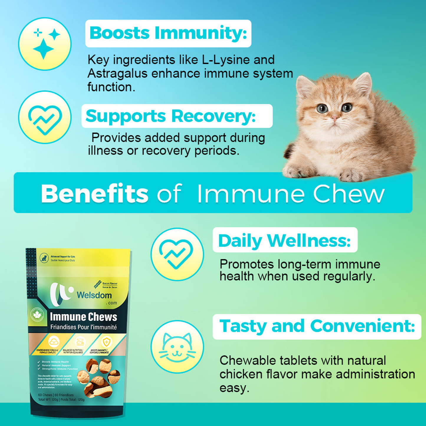 Cat Immune Chews - 60 Chews