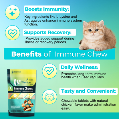 Cat Immune Chews - 60 Chews