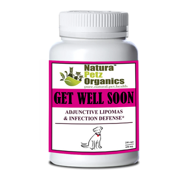 get well soon adjunctive lipoma infection defense dog 250 caps