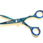 Hashir Products 5.5" German Stainless Professional Dog Grooming Shears