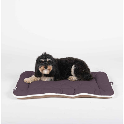 DGS Pet Products Pet Cotton Canvas Sleeper Cushion Small - Select a Color