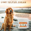 Healthy Paw Life Lime Sulfur Pet Skin Cream for Ringworm and Itchy Skin 2 oz