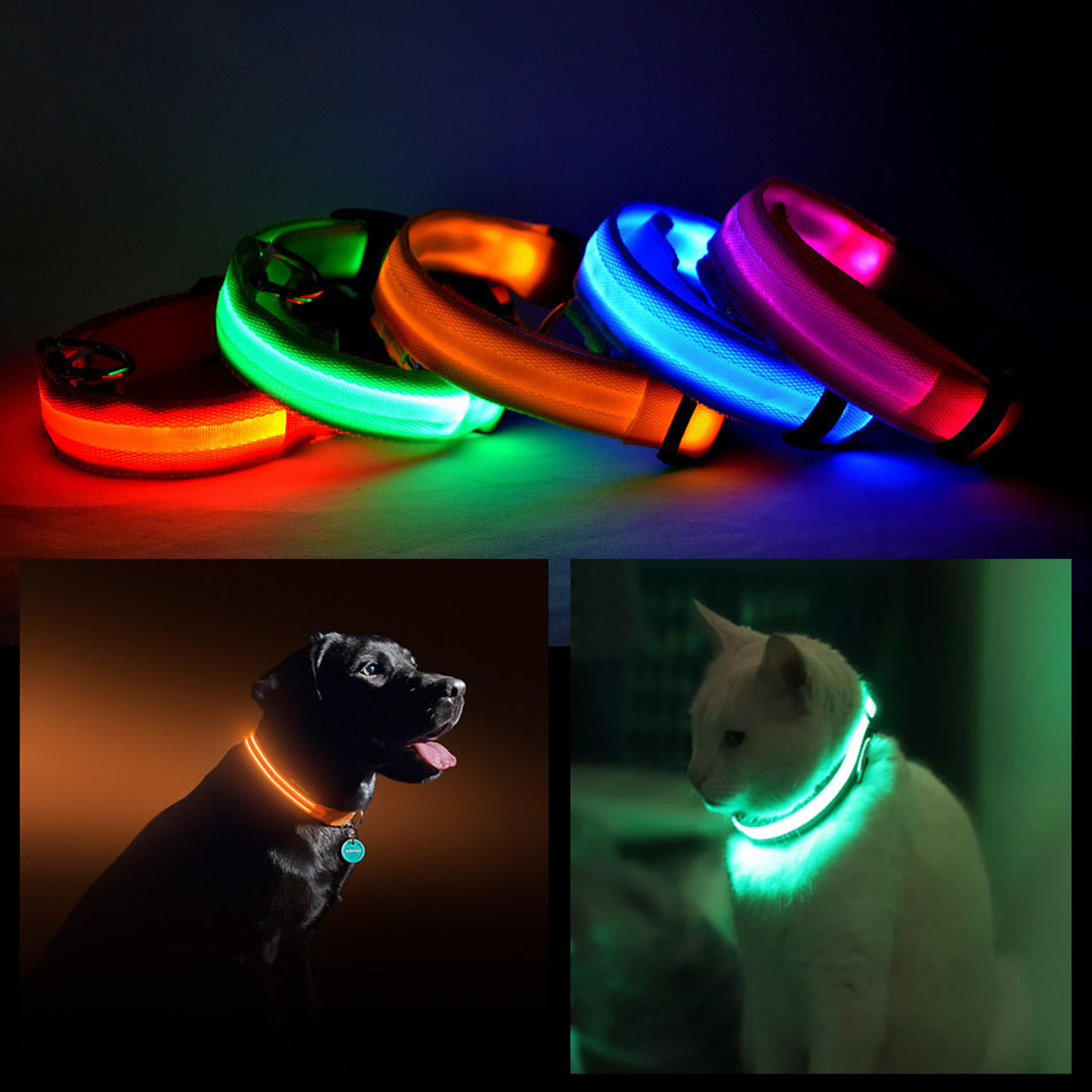 LED PET Safety Halo Style Collar - Choose Color/Size