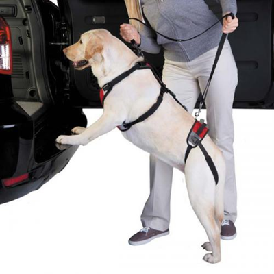 Total Pet Health Lift & Go Dog Lead - Mobility Harness