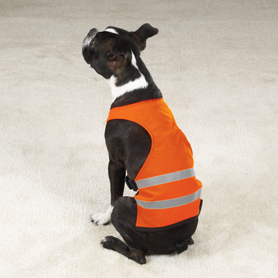 Guardian Gear Reflective Dog Safety Vest | Water-Resistant, Orange, Small