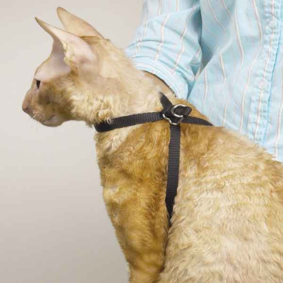 Pet Edge TP Adjustable Nylon Grooming Cat Harness - 40 Inch Restraint