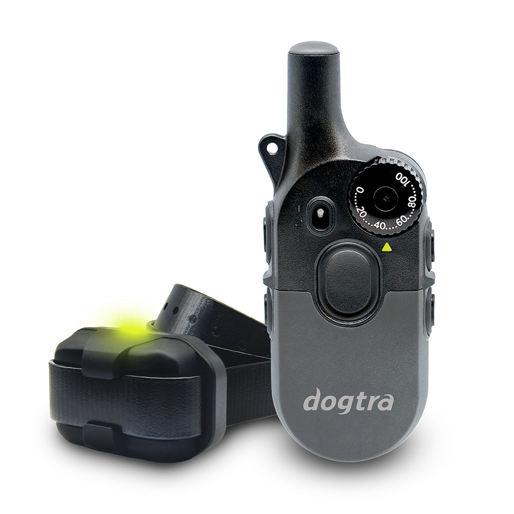Dogtra 1/2 Mile 1 Dog Compact Remote Trainer Black