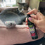 Organic Catnip Spray by Smokey's Stash – 2oz Essential Oil Mist