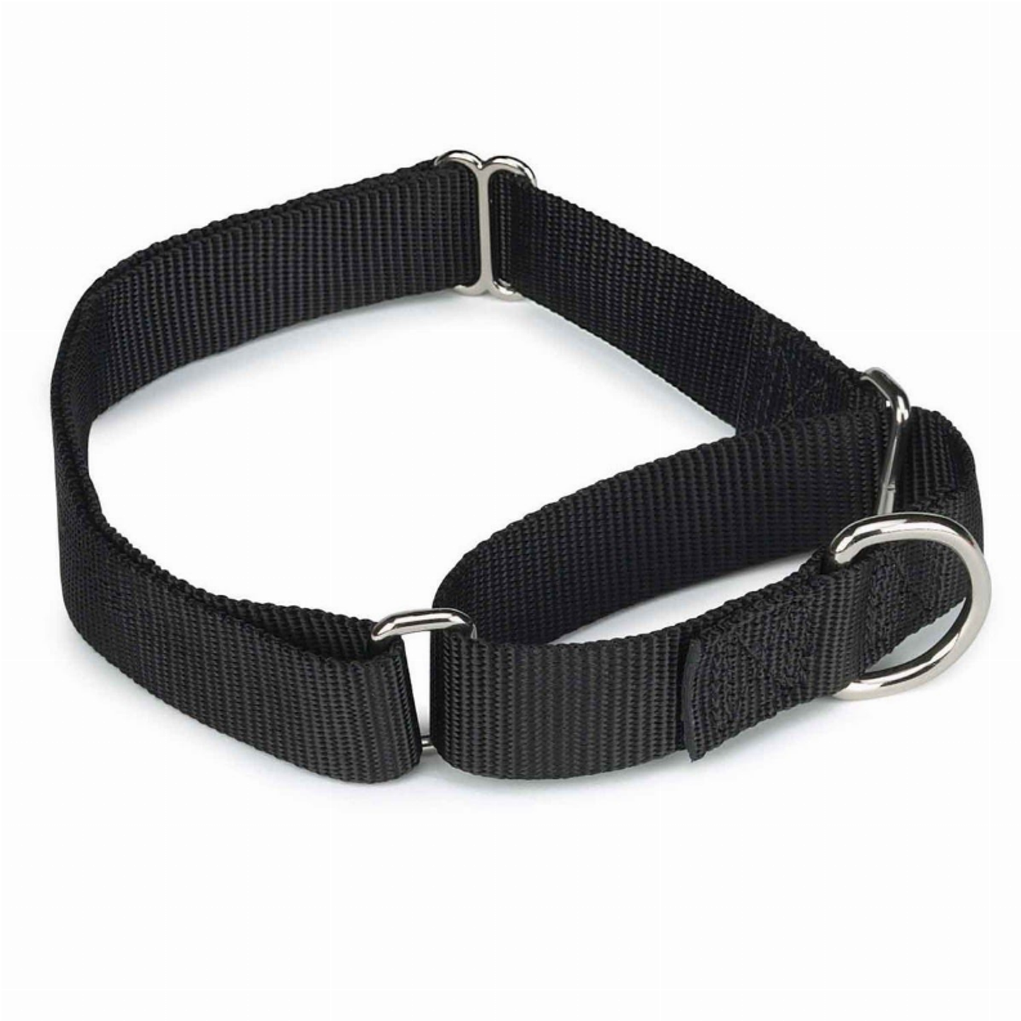 GG Nylon Martingale Collar, Optins Available