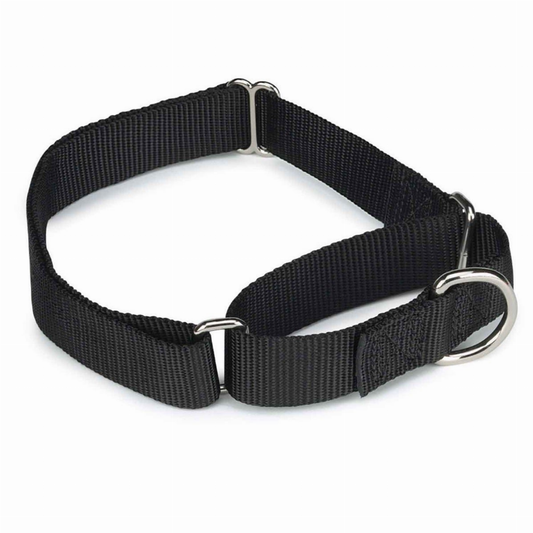 GG Nylon Martingale Collar, Optins Available