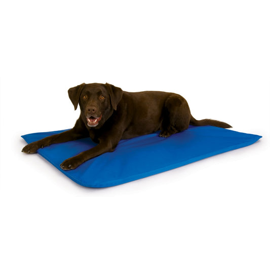 K&H Pet Products Cool Bed III Thermoregulating Pet Bed Large Blue