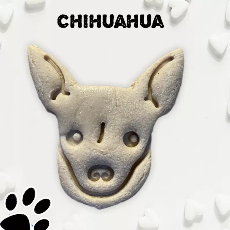 June Bug Dog Breed Dog Cookies, Chihuahua