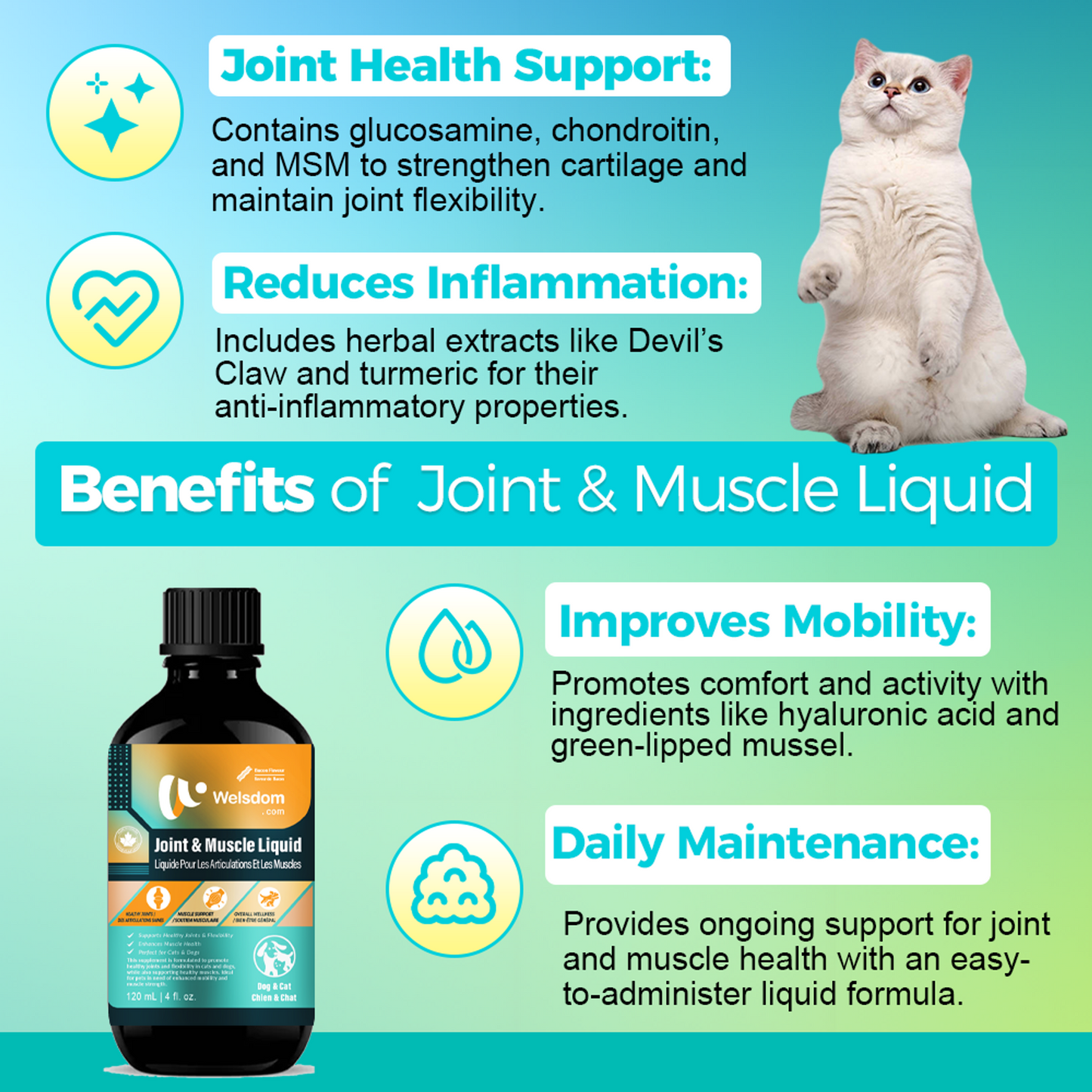Welsdom Joint & Muscle Support Liquid Supplement for Cats & Dogs - 120mL