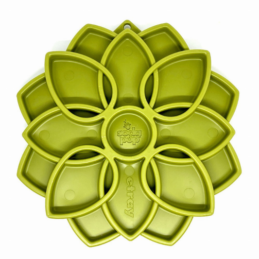 Mandala Design eTray Enrichment Tray for Dogs, Green