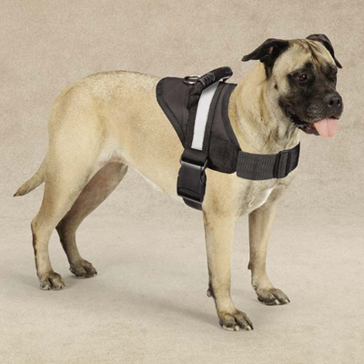 Guardian Gear Excursion Reflective Dog Harnesses - Select a Size
