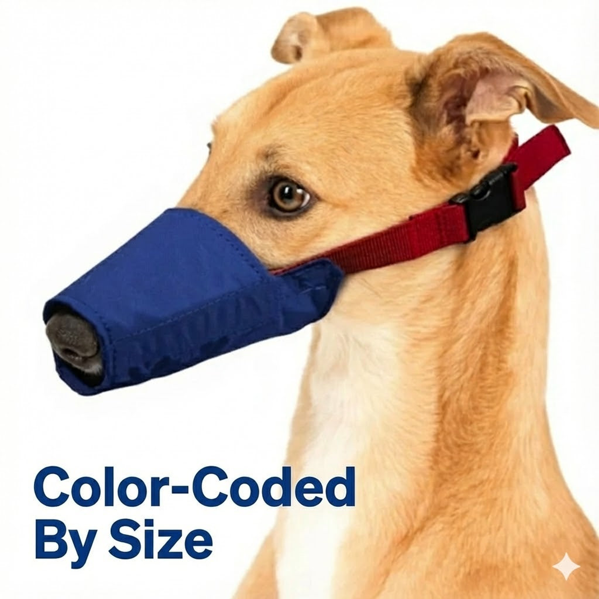 Long Snout Color-Coded Quick Muzzle, Small, Blue