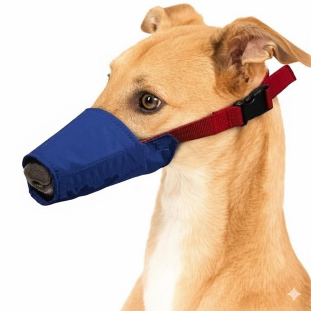 Long Snout Color-Coded Quick Muzzle, Large, Blue