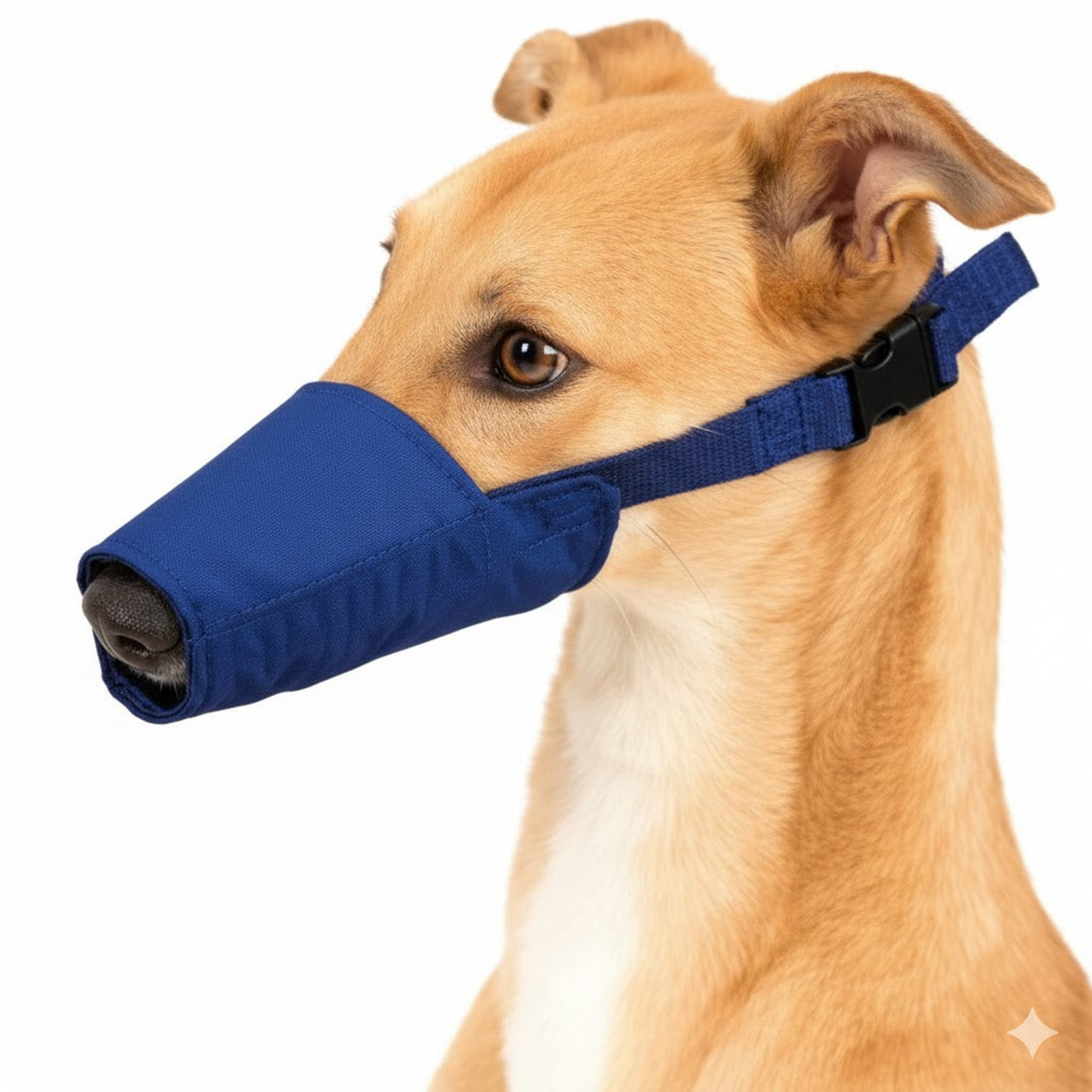 Quick Muzzle for Long Snout Dogs, Large, Blue