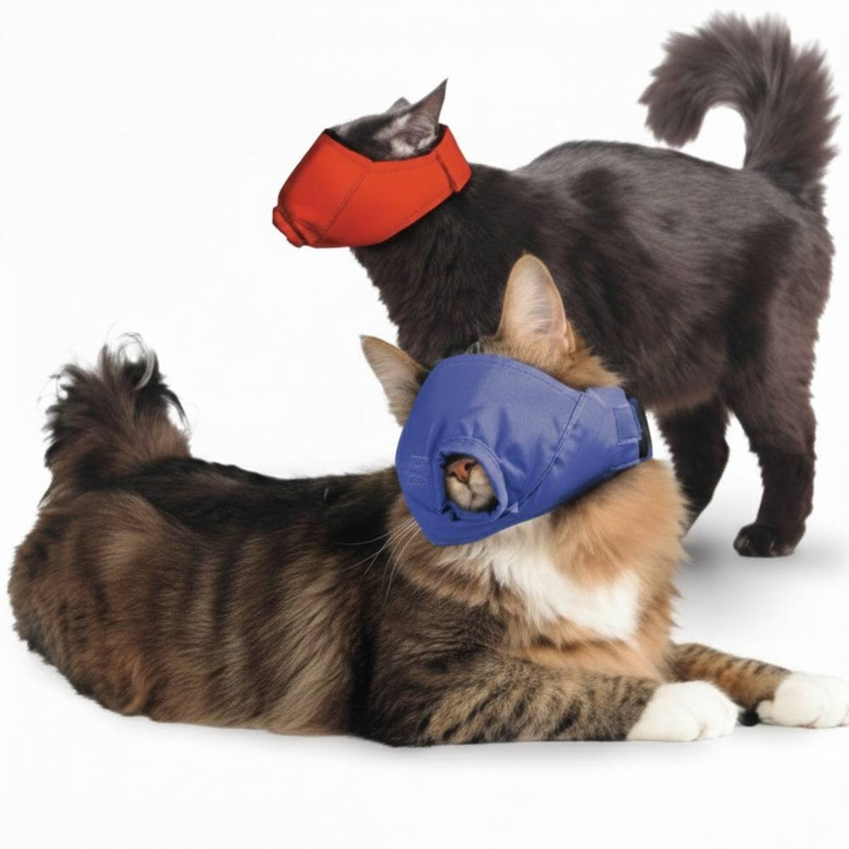 Quick Muzzle for Cats Set, Blue & Red