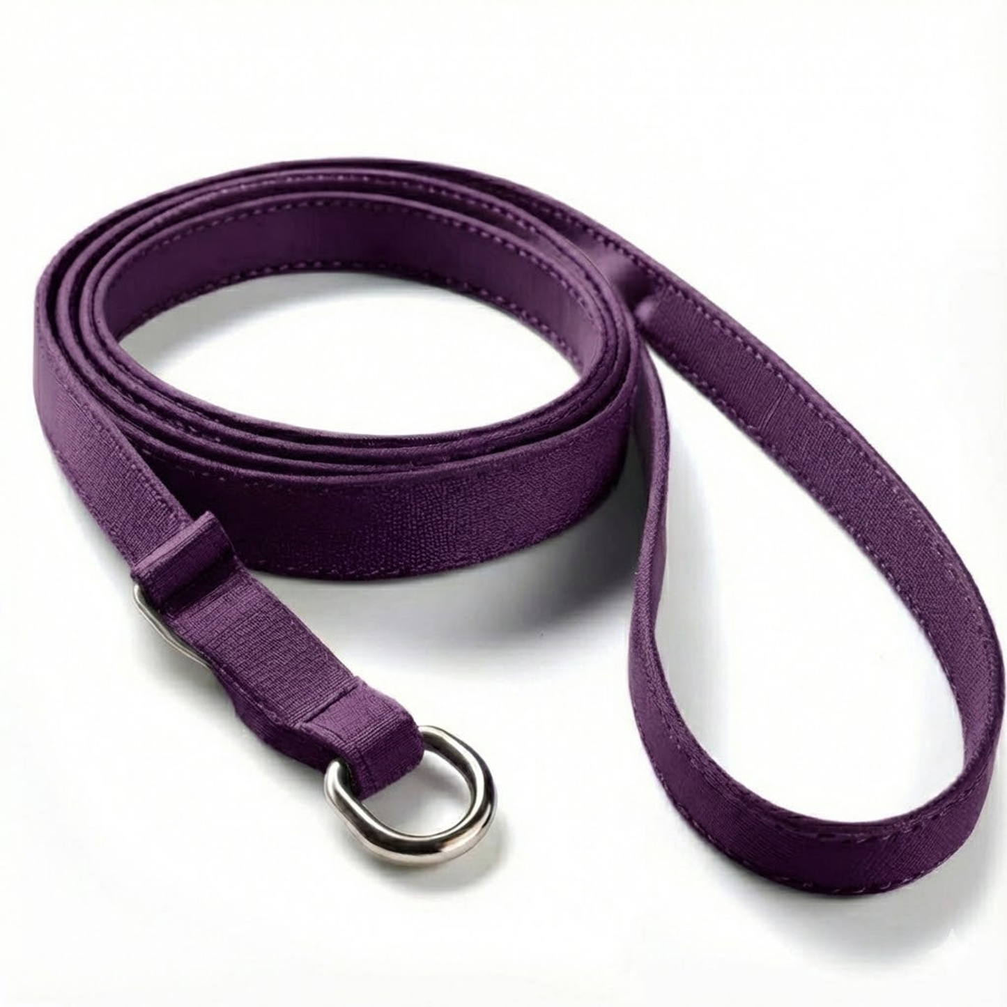 Pet Slip Leash, Purple