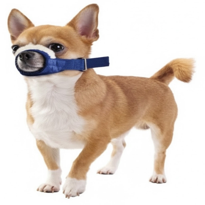 Cozy Quick Muzzle for Dogs, Medium, Blue