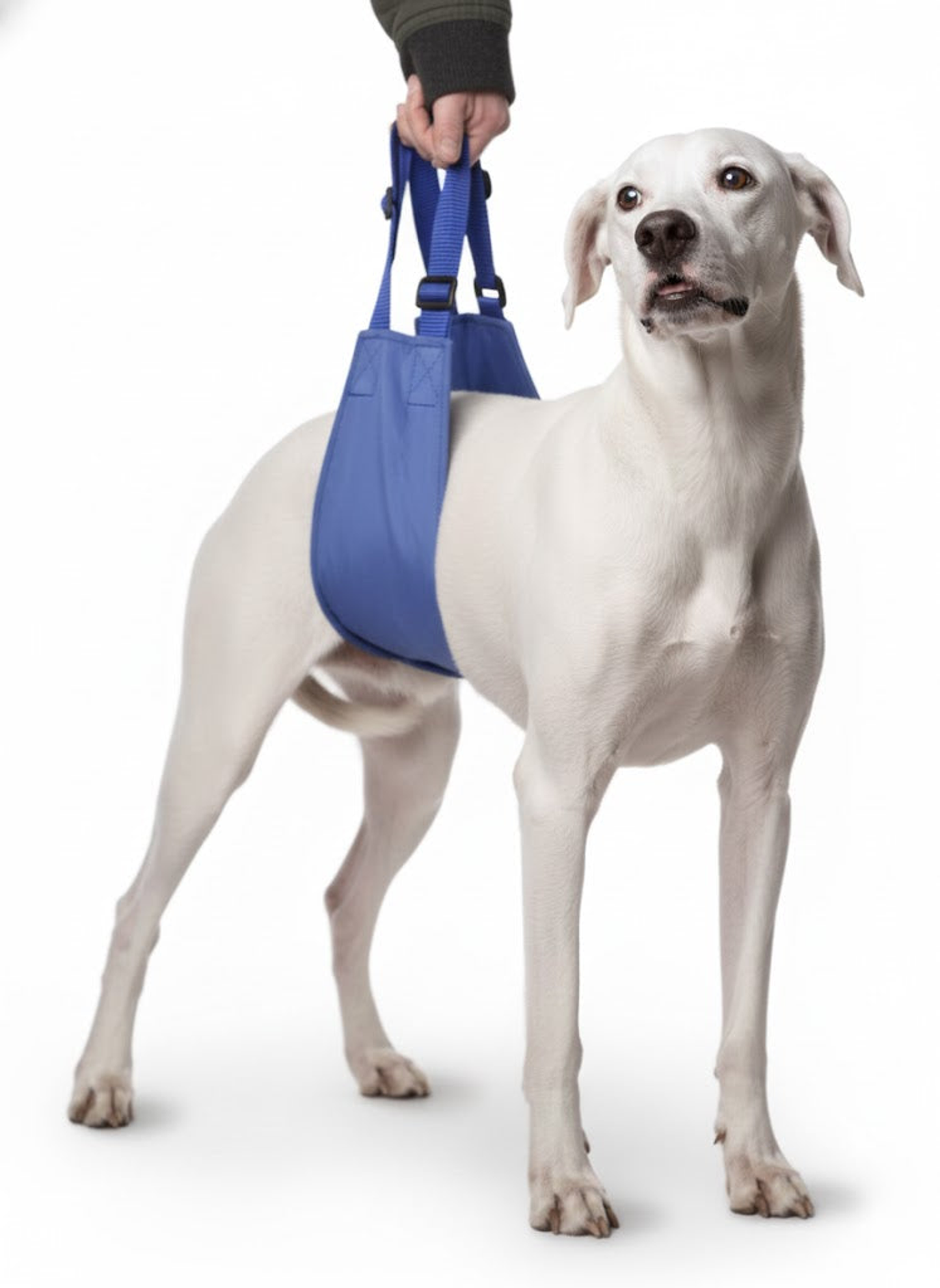 Original Quick Lift, Small, Blue