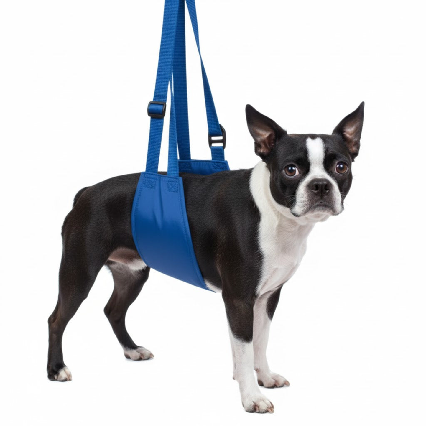 Original Quick Lift, X-Large, Blue