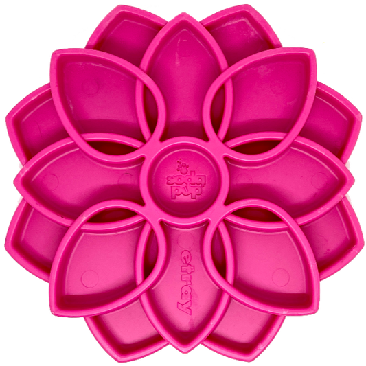 Mandala Design eTray Enrichment Tray for Dogs, Pink