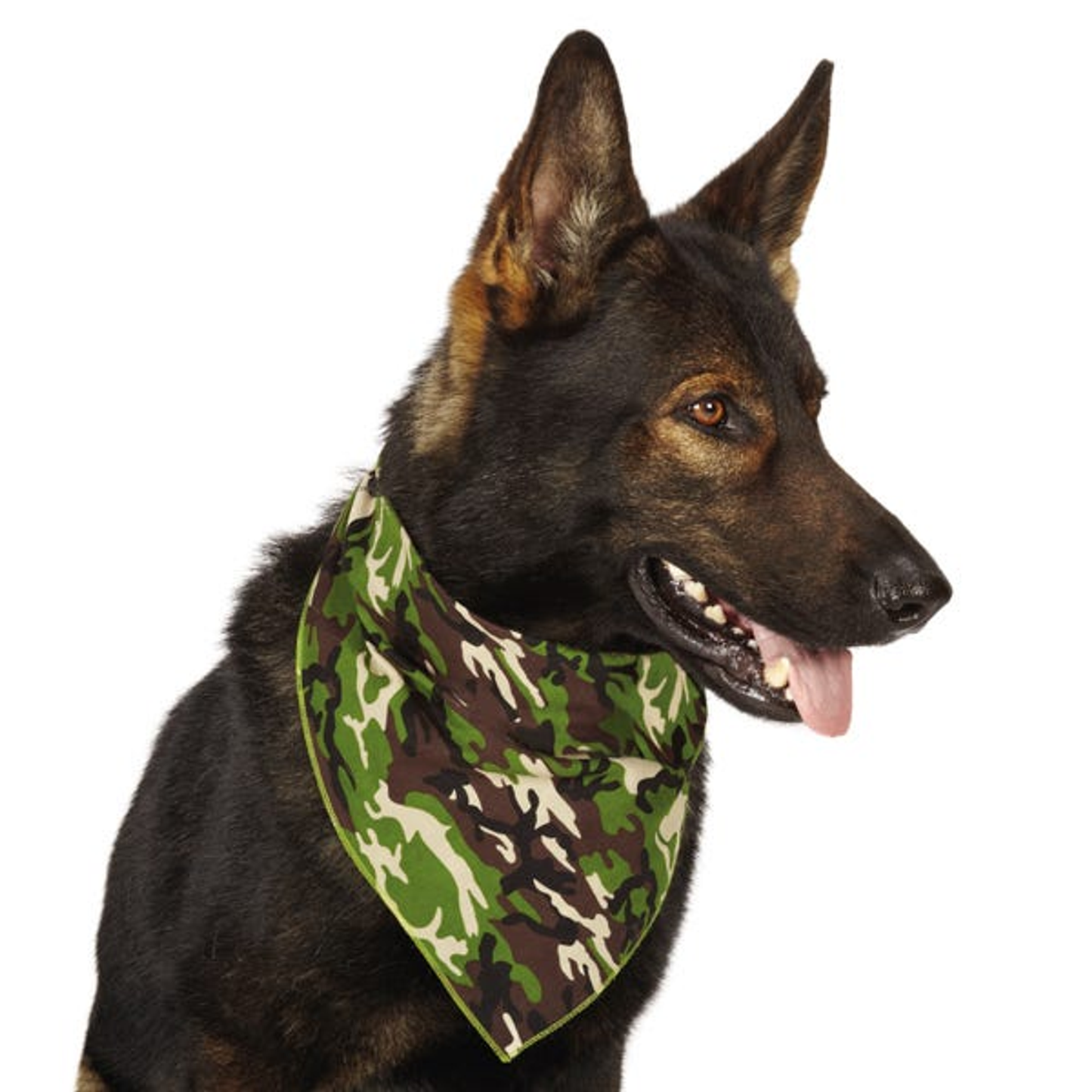 Aria Camo Dog Bandana – 19x19 Inch Polyester Cotton Pet Accessory
