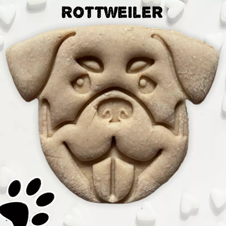 June Bug Dog Breed Dog Cookies Rottweiler