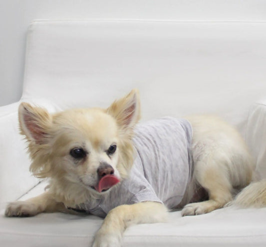 Doggy Hoodie, Choose Size and Color