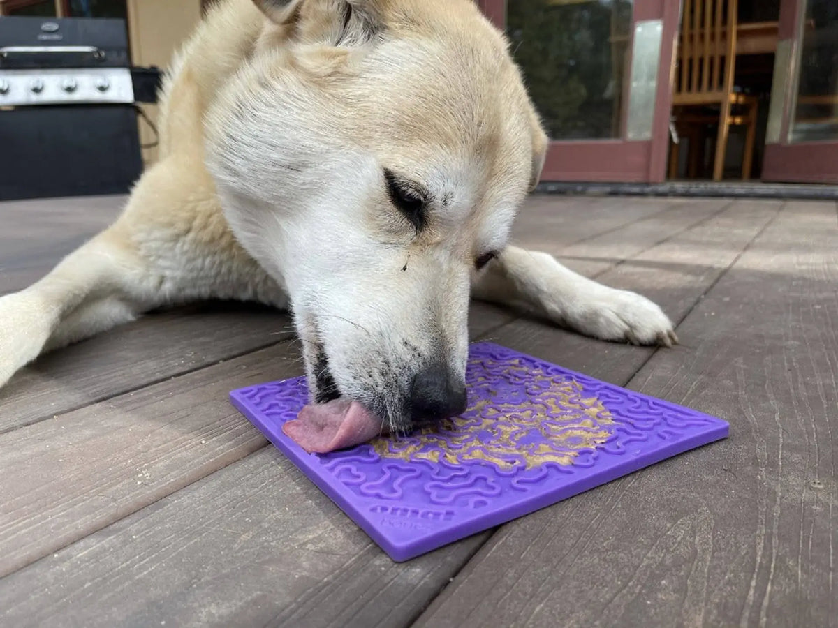 SodaPup Bones Design Dog Lick Mat – Red Silicone Pet Enrichment Toy