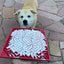 SodaPup Heart Design Lick Enrichment Feeding Mat – Choose a Size