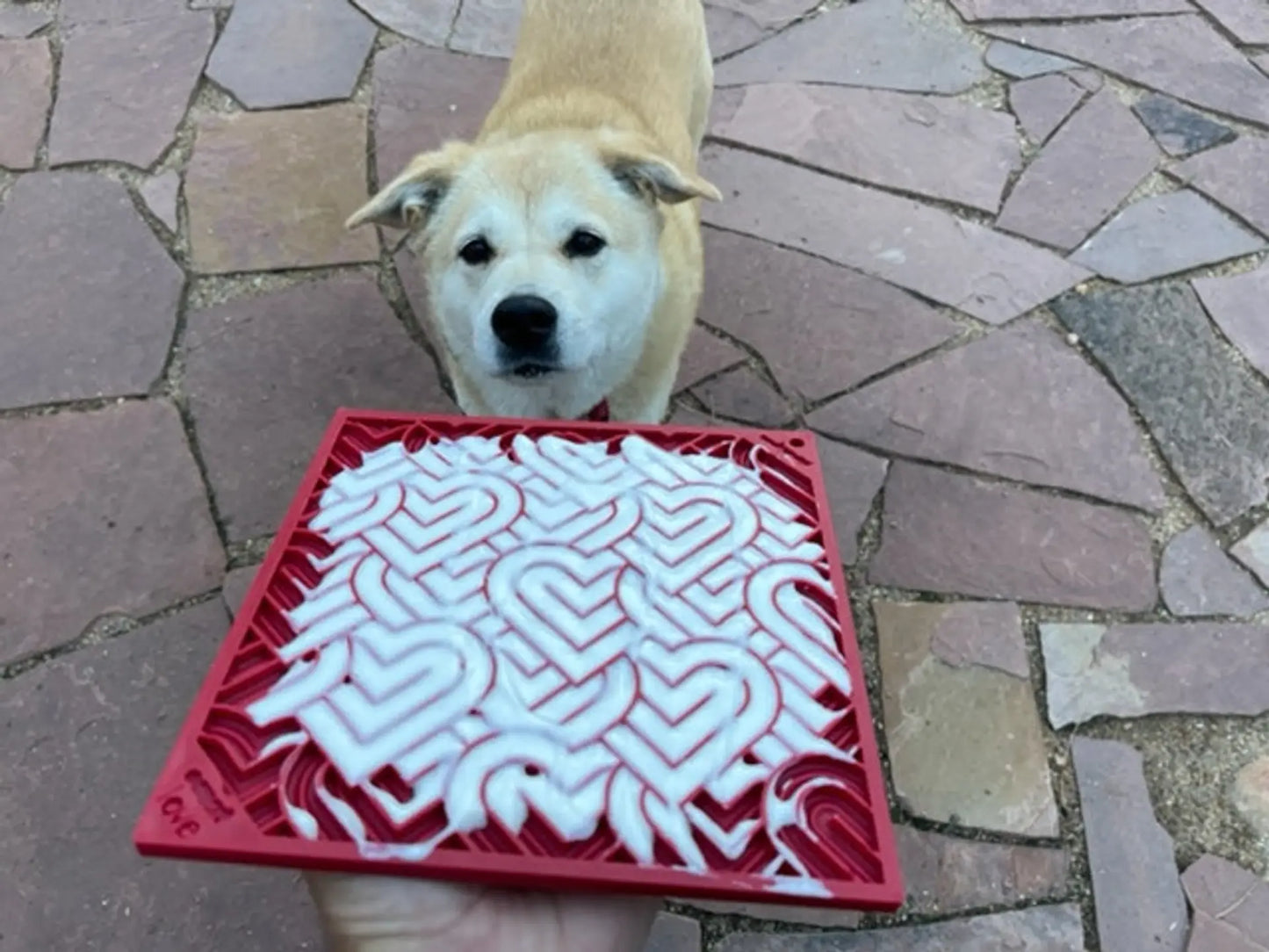 SodaPup Heart Design Lick Enrichment Feeding Mat – Choose a Size