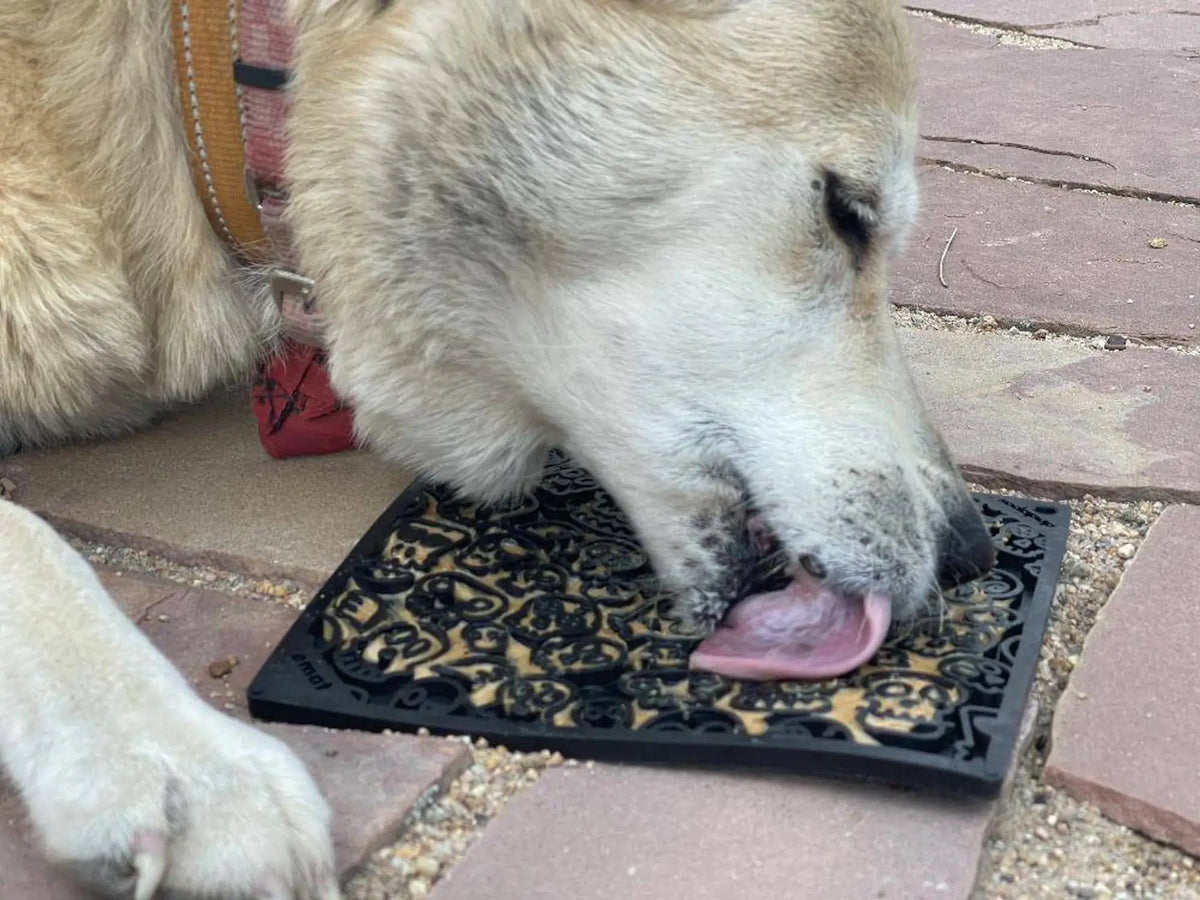 SodaPup Zombie Lick Mat – Orange Dog Enrichment Mat for Anxiety Relief