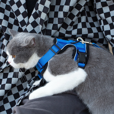 Mr. Peanut's PurrTrek Reflective Cat Harness with Matching Leash, Sm, Blue