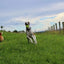 Fetch & Glow Ball